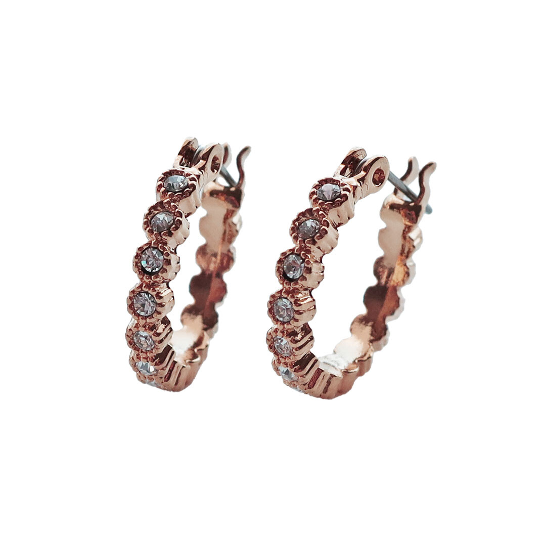 4.8 星紋環舞・日本製耳環